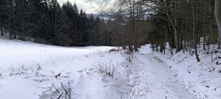 Fotografia z Marek Borkowski 2 na trase