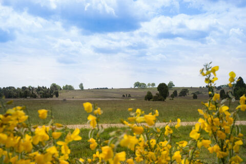 weite-heidelandschaft-lueneburger-heide