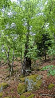Photo de Richard Schwald le long du parcours
