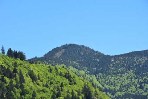 Zemljevid