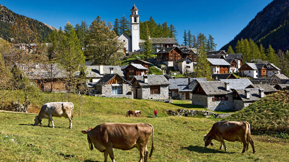 Bosco Gurin
