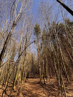 Fotografia z Gerhard Piglmann na trase