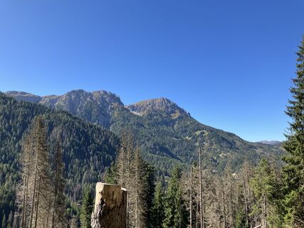 Foto van andrea calabria langs de tour