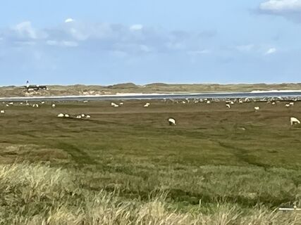 Fotografia z Bobrin na trase