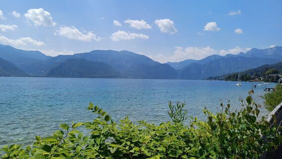 Fotografie de la oscargarcia de-a lungul turului