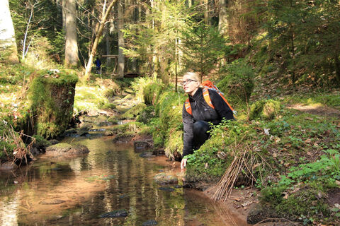 Genießerpfad Calw - Wasser hautnah im Rötelbachtal