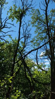 Fotografija s spletne strani Martin Temm na poti