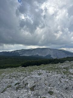 Fotografija s spletne strani Fuchsi na poti