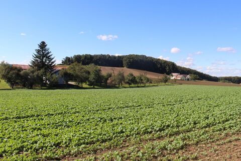 vorbei an Waldviertler Gehöften