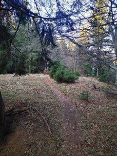 Foto de 3d63 ru^^n3r a lo largo del recorrido