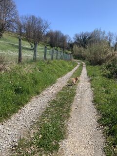 Photo de Andrea Morotti le long du parcours