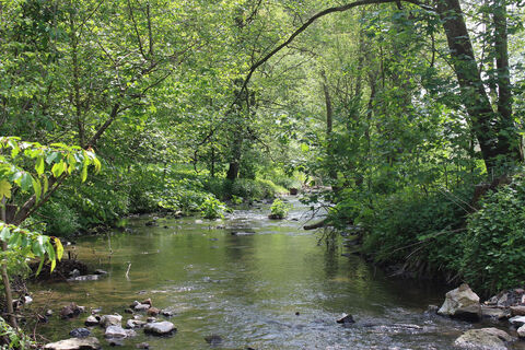 Emslauf im Weißenthal bei Kirchberg