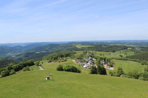 Wildewiese vom Schombergturm