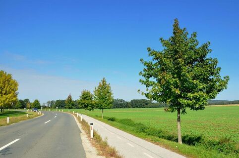 Radwege