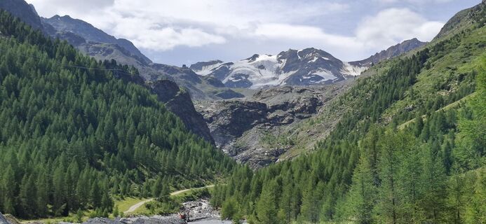 Fotografia z David Bubenheim na trase
