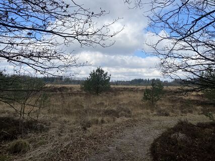 Foto de Roy de Vries a lo largo del recorrido