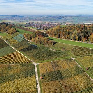 Osterfingen_Reblandschaft_Herbst_Bergtrotte_Aussicht