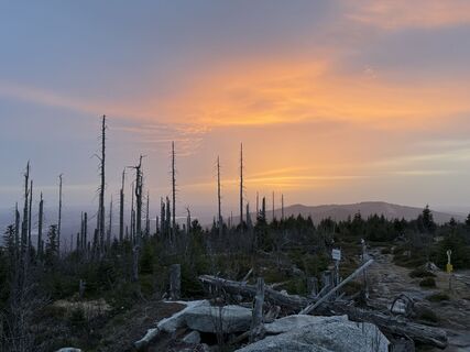 Photo de Dani Geiger / Natur_erleben_dg le long du parcours