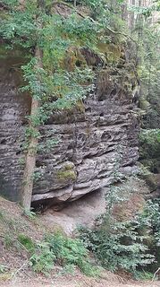 Foto von Petra Bohringer entlang der Tour