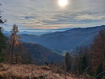 Fotografia z Zsolt Tovay na trase