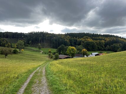 Fotografija s spletne strani Bernd Pelzer na poti