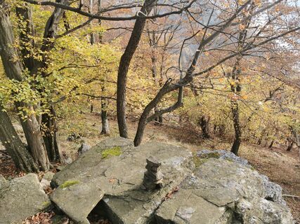 Photo de Michael Spranger le long du parcours