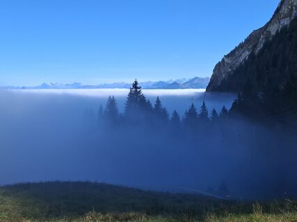 Photo de Maurer Silvia le long du parcours