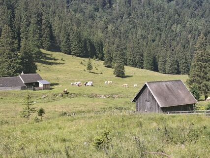 Foto von Michaela Schnetzinger entlang der Tour