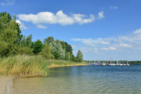 Blick auf die Segelboote am Tankumsee