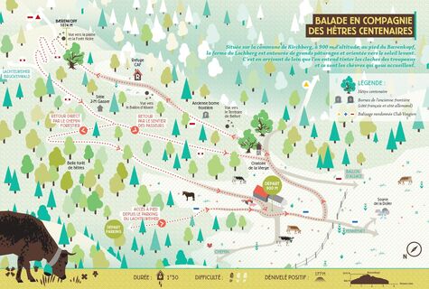 Ein Bauernhof, eine Wanderung: Ferme-Auberge du Lochberg (Wanderweg)