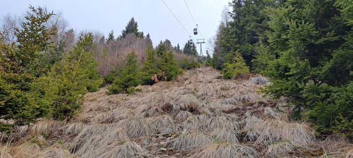 Fotografia z Glanzer Julius na trase