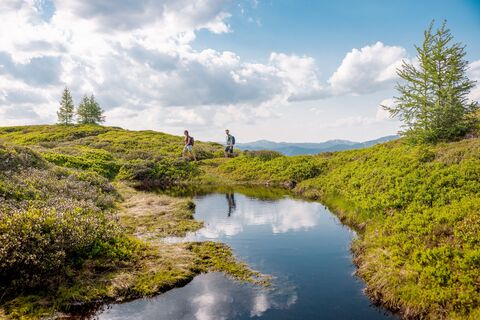 Wandern am Pleschnitzzinken