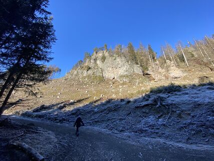 Photo de Enrico Till le long du parcours