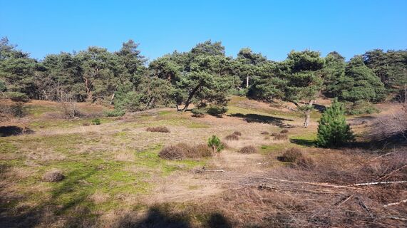 Photo de Enkidu55 le long du parcours