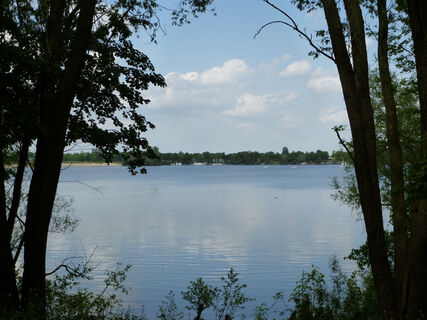 Wisseler See