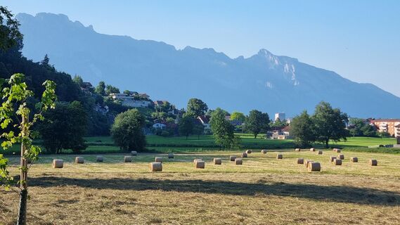 Foto da Erika Stricker lungo il tour