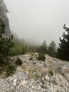 Foto von Bensch entlang der Tour