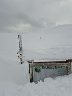 Photo de Sissa Ferrero le long du parcours
