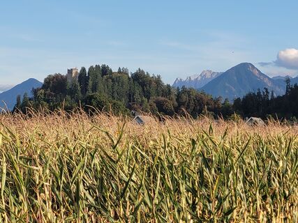 Foto från Susanne Linzbacher under resans gång