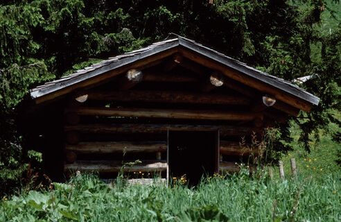Rundweg Elsenalpe
