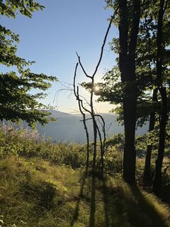 Foto von Gerti Glettler entlang der Tour