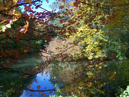 herbstlicher Mikrokosmos