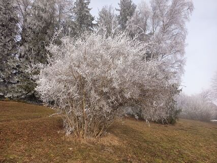 Foto von Lehnerchristian entlang der Tour