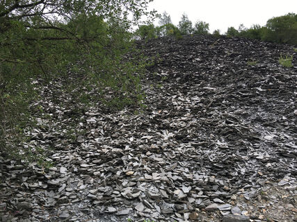 Schieferhalde am Iberg in Willingen
