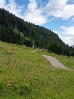 Photo de Bettina Miller 1 le long du parcours