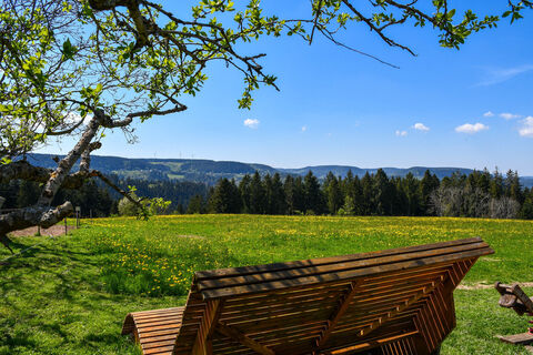 AugenBlick-Runde Sulgen