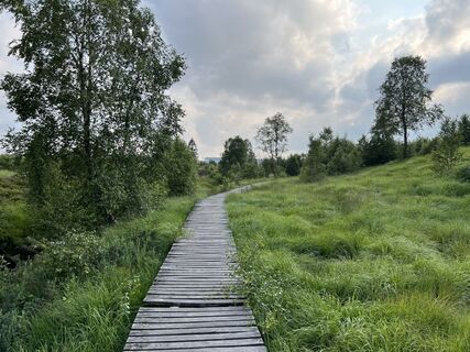 Fotografija s spletne strani Anton Gigele na poti