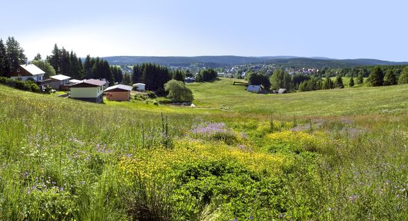 Blick vom Eisenberg auf Schmiedefeld