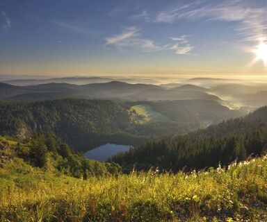 Feldsee