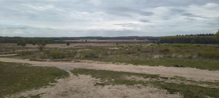 Zemljevid